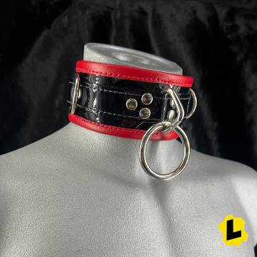 Leather Collar With O And D Rings